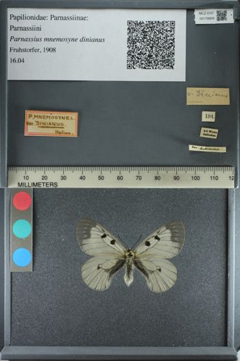 Media type: image;   Entomology 179909